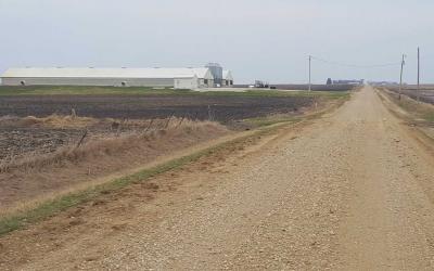 Gravel road with swine barn in the distance.