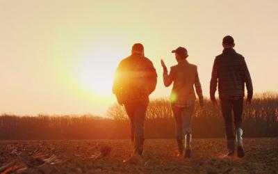 Three young farmers walking through a harvested field at sunset.