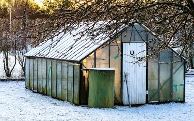 Small greenhouse in a snow-covered yard.