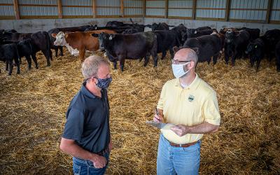Producer and FSA agent discussing Coronavirus Food Assistance Program signup in a cattle shed.