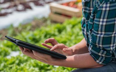 Woman browsing a digital tablet in her garden.