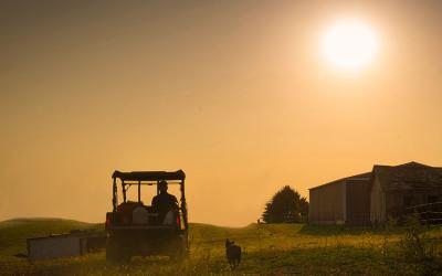 Producer inspecting rangeland in an ATV with his dog following behind.