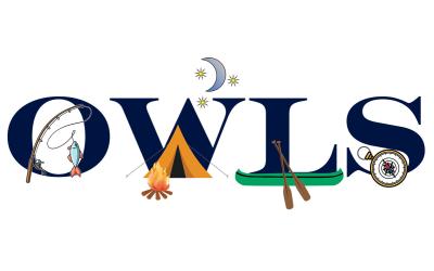 a wordmark for the OWLS program