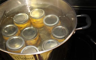 Several jars of sealed, canned peaches in a boiling water bath.