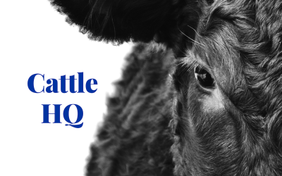 PC-00002-Cattle-HQ-Cover