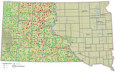 Map of South Dakota with green (zero to three grasshoppers), orange (four to seven grasshoppers), and red (8 or more grasshoppers) dots indicating grasshopper populations that were sampled in 2021. The north central region, west of the Missouri River, has the highest concentration of red and orange dots.