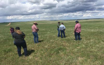 Group of workshop attendees collecting forage samples from a pasture.