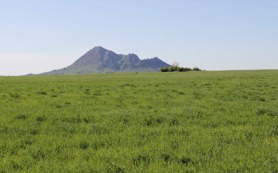 SDSU West River Research Farm land.