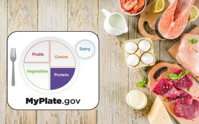 MyPlate logo over a variety of protein sources on a countertop.