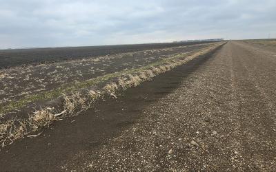 Tilled field with signs of erosion along the field edge.