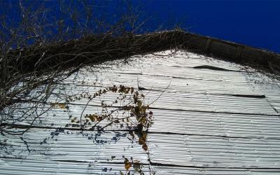 Wind damage on a pole barn's exterior.