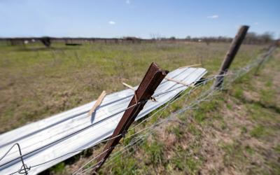 Storm debris in a pasture.