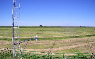 Webcam view of a forage field near the Bowdle mesonet station.