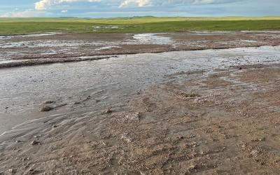 Muddy field with no residual forage exhibiting signs of extreme soil erosion.