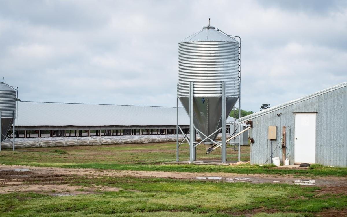 concentrated-animal-feeding-operations-sdsu-extension