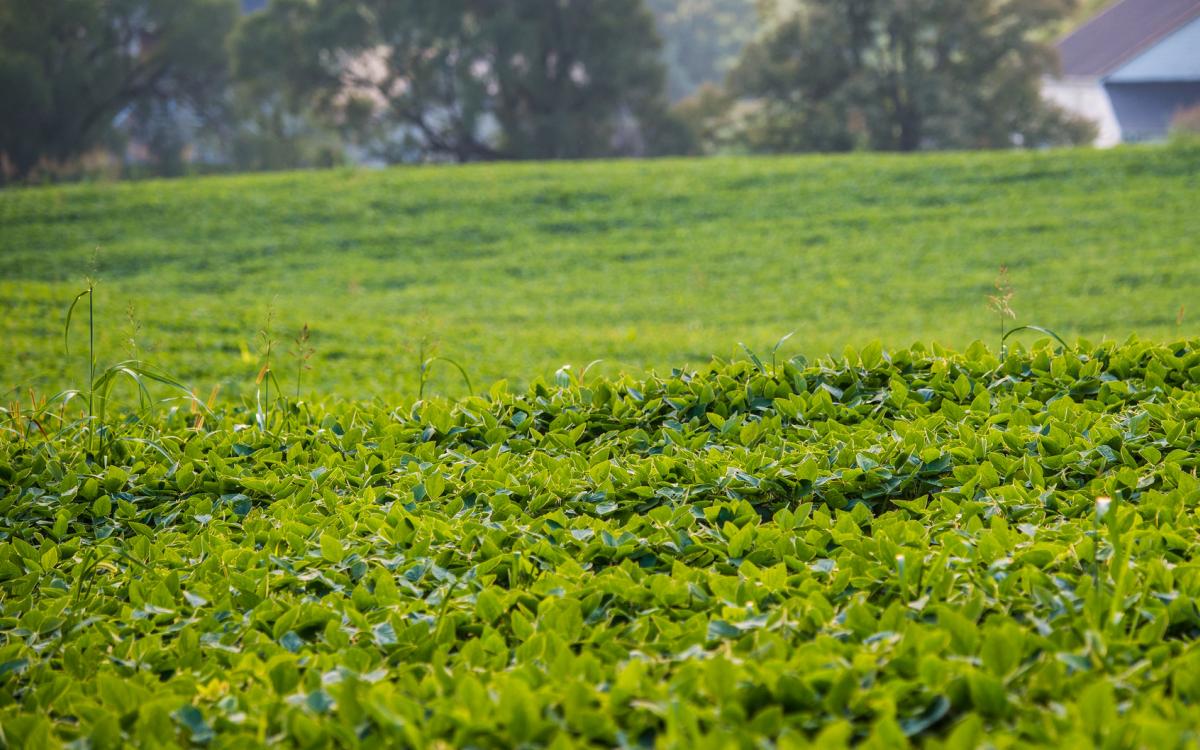 South Dakota Agricultural Land Market Trends