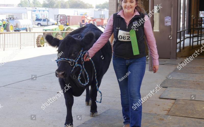 Teen girl walking her winning cow
