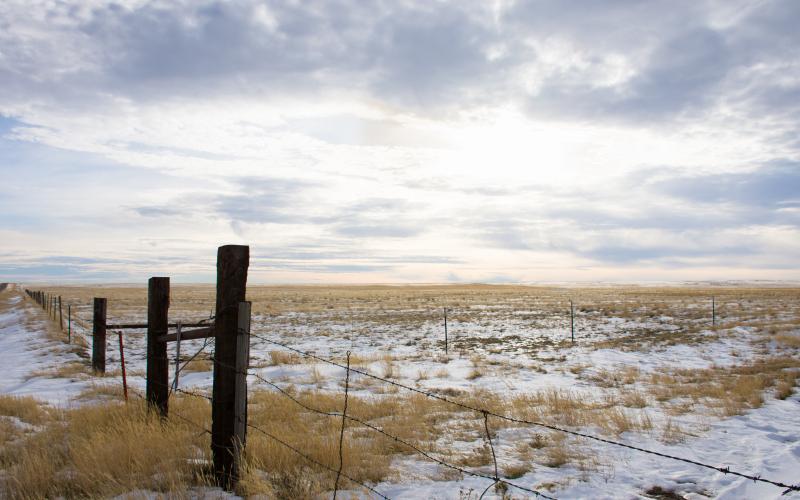 prairie pasture with light snow on the ground