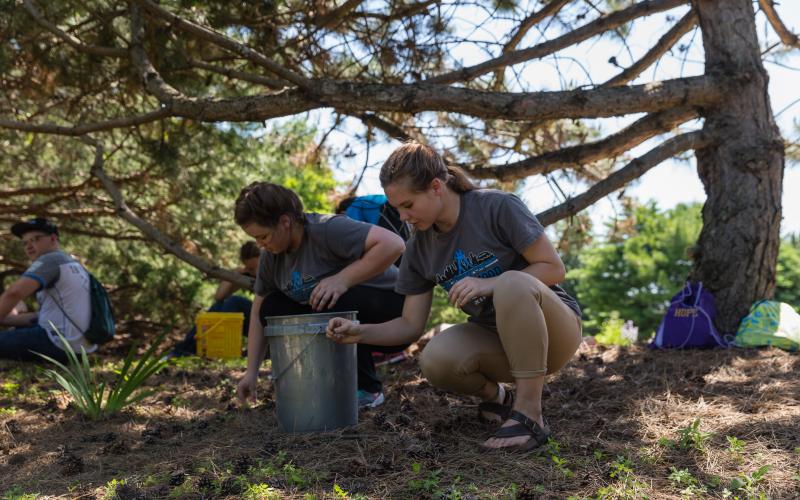 4-H youth picking weeds near trees