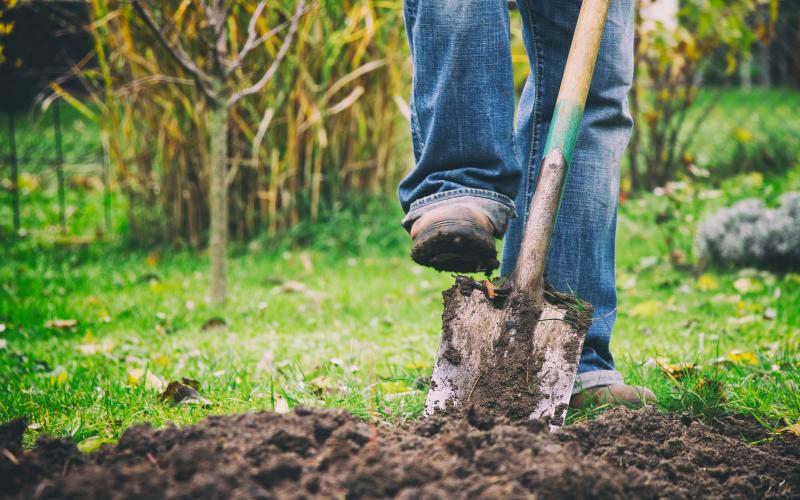 person with a shovel digging in a garden