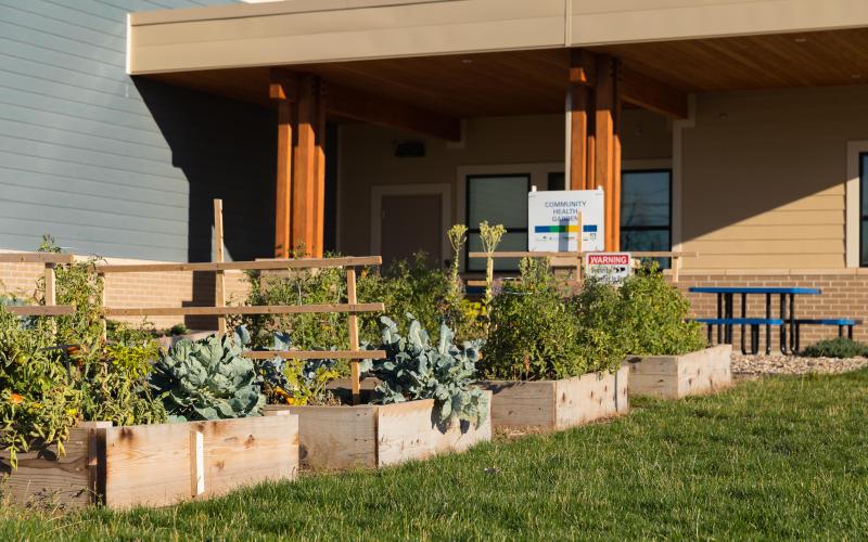produce growing in a collection of raised beds in a SDSU Extension community garden