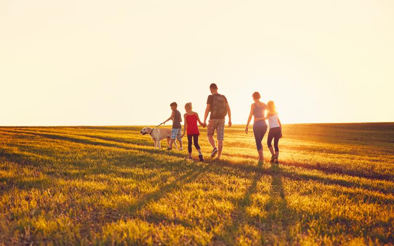 a dad and mom with three children and a yellow lab walking through short grass
