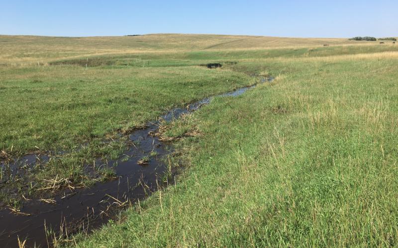 a creek going through a pasture.