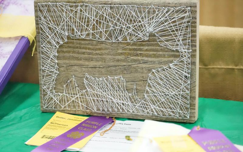 string art, pig, State Fair