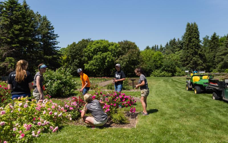 garden, teens gardening