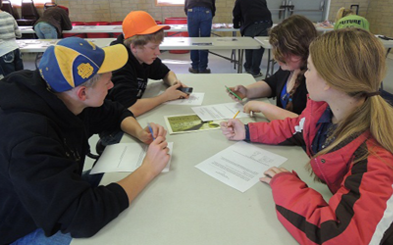 Group of teens filling out worksheet, 4-H, Livestock Skill-a-thon
