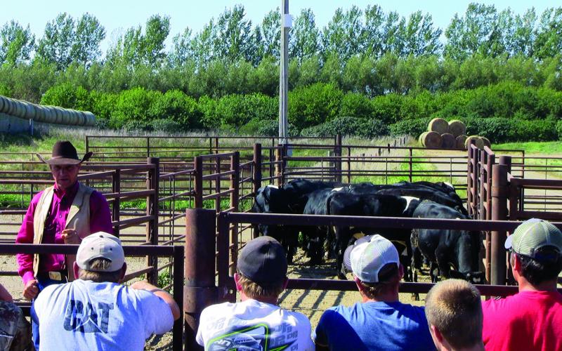 Group learing about animal welfare