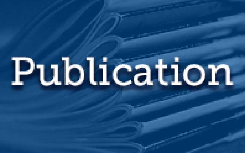 99-Publication Publication teaser