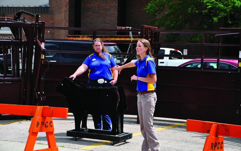 Quality Assurance demonstartion