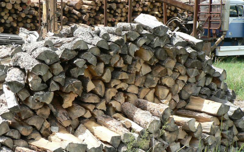 pile on firewood