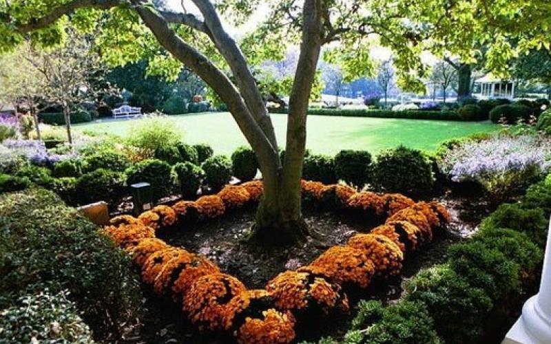 Colorful bedding flowers in bloom in a fall garden