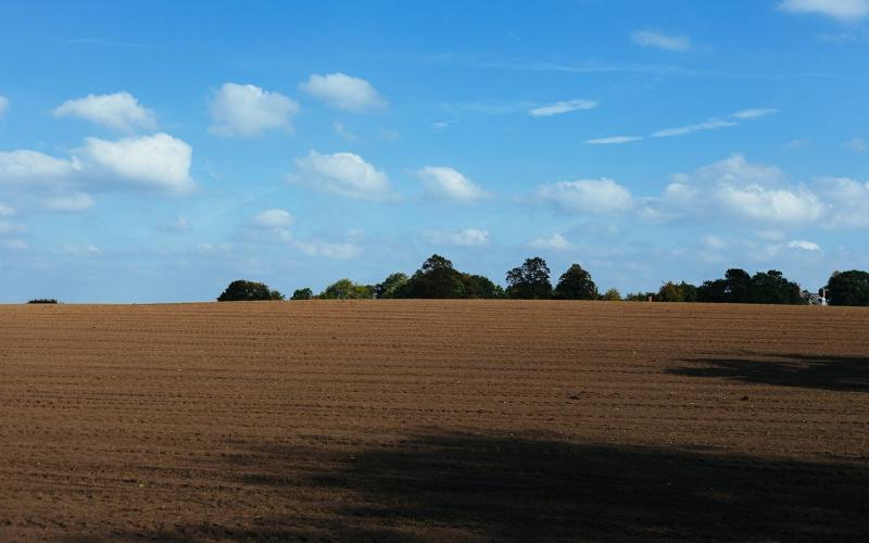 A bare crop field ready for planting