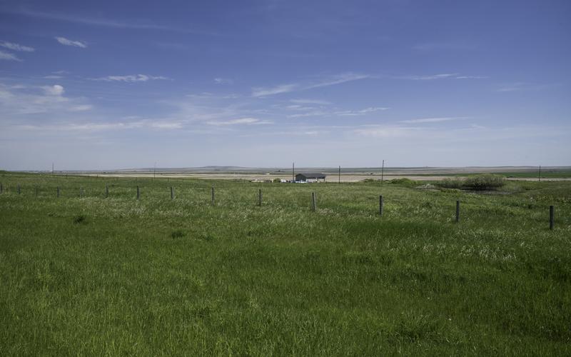 A vast, sprawling green rangeland with barbed wire fence marking its boundary.