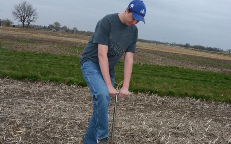 A young man driving a soil sampling tool into a soybean field