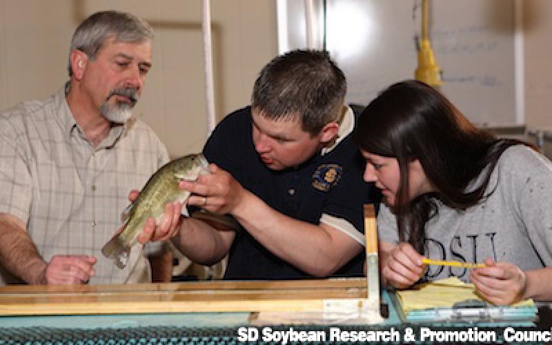 two students look at a fish while a teacher makes an explination