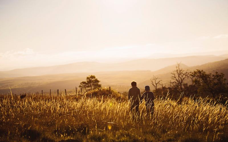 Two young children walking in a pasture.