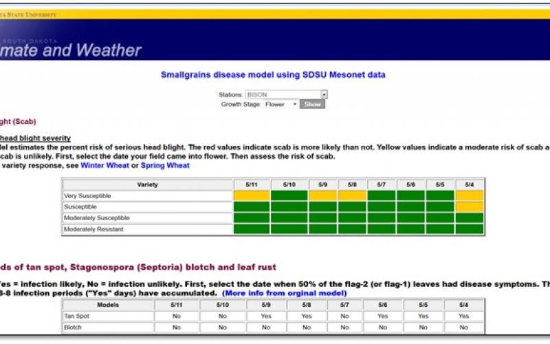 a screenshot of a website