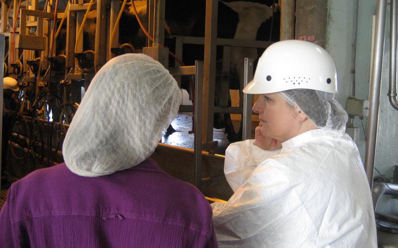 Two female dairy workers in a milking parlor. USDA Photo by Aaron Lavelle