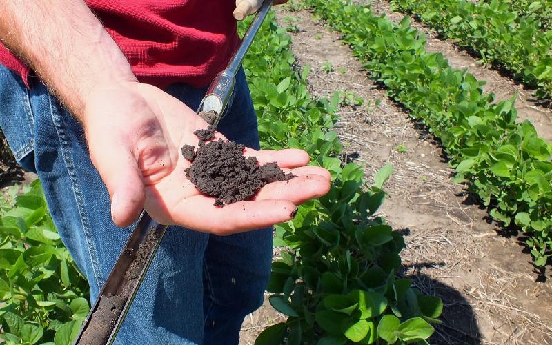 A hand holding a soil sample taken from a soybean field.