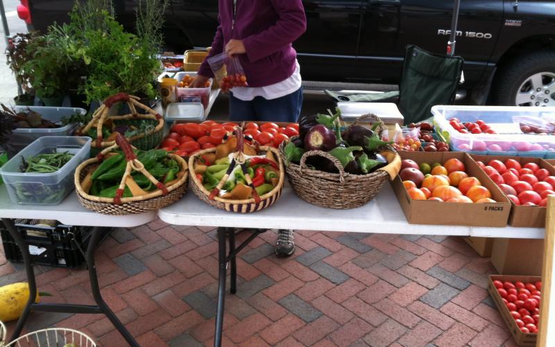 A table display of vegetables at a farmer's market.