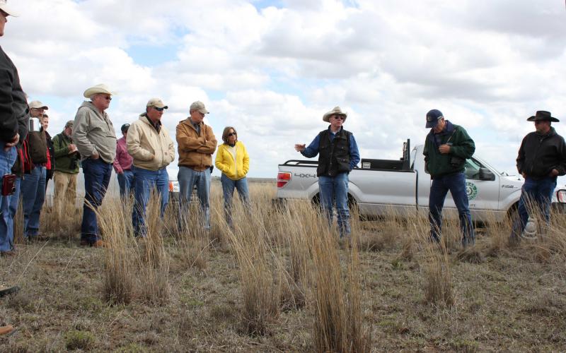 A group of ranchers meeting out in the range.