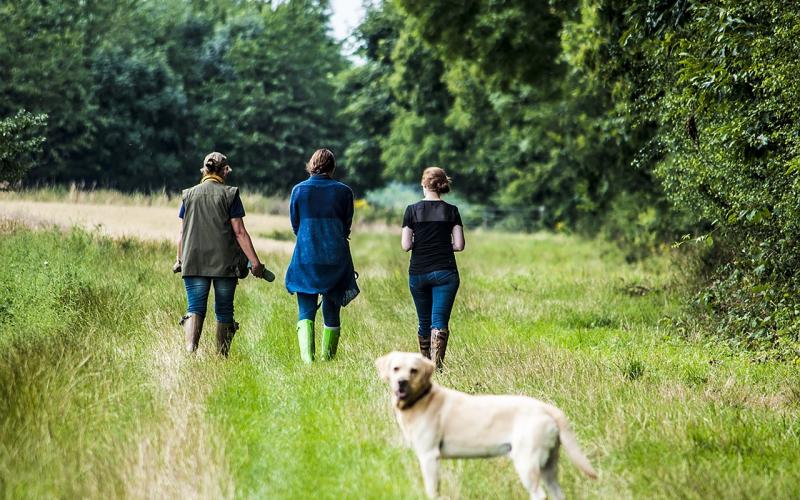 Mother, two daughters, and dog going for a walk in the country.