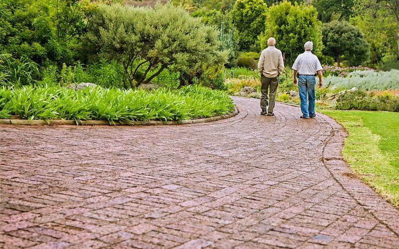 Two older men walking in a garden.