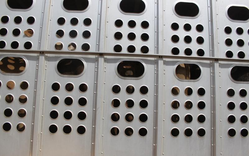 A cattle trailer.