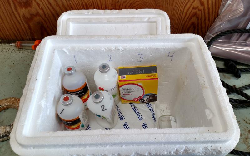 Labeled cooler and vaccines ready for anyone who is loading syringes.