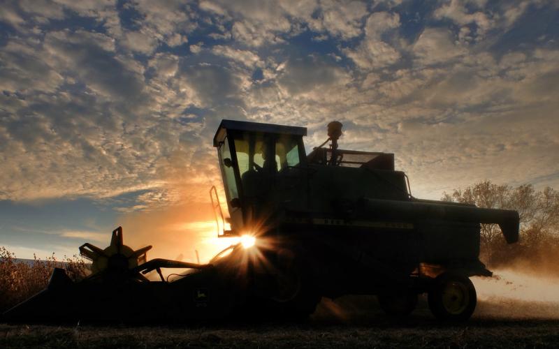 A combine harvesting soybeans at sunset.